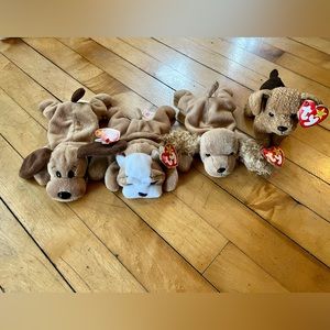 Dog collection beanie babies
